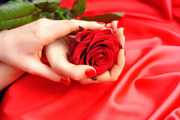 Red Rose női kezek-ra egy háttér piros selyem - Fotó, kép