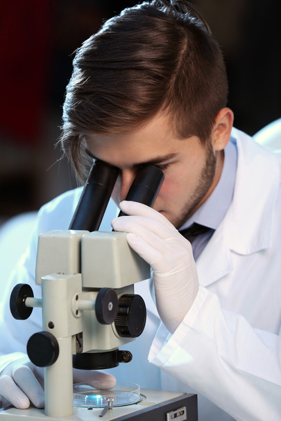 clinician studying  in laboratory - Фото, изображение