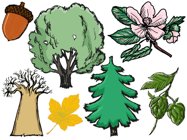 aantal bomen en planten met eiken en pijnbomen - Vector, afbeelding