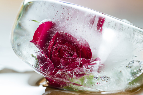 kleine rote Rose gefroren in einem Eisblock  - Foto, Bild