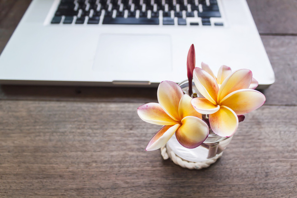 Όμορφο λουλούδι plumeria ή frangipani σε μικρό ποτήρι στο γραφείο - Φωτογραφία, εικόνα
