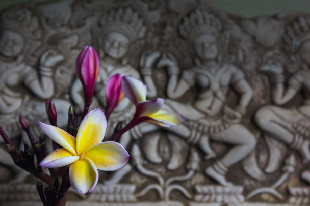 Όμορφο λουλούδι plumeria ή frangipani σε στυλ boutique Ασία  - Φωτογραφία, εικόνα