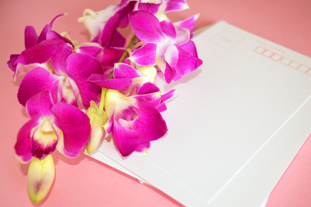 Фіолетовий Dendrobium орхідеї з листівкою - Фото, зображення