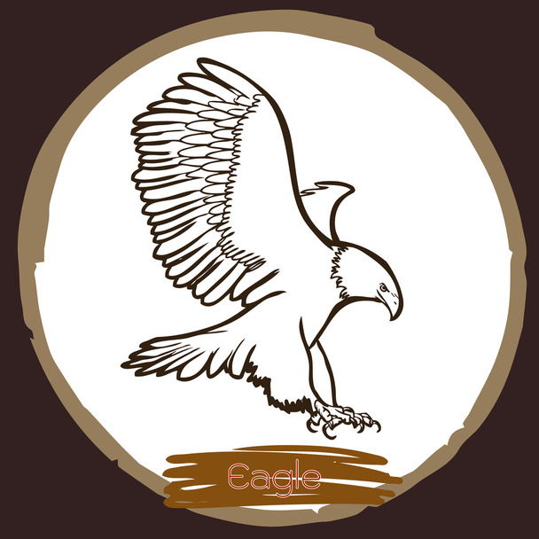 ilustración de águila, pájaro halcón
  - Vector, imagen