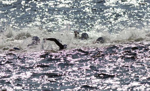 Стокгольм - 22 серпня 2015: Хаос плавальних зброї у воді в чоловічому МСЕ світу триатлону серії події 22 серпня 2015 року у Стокгольмі, Швеція - Фото, зображення