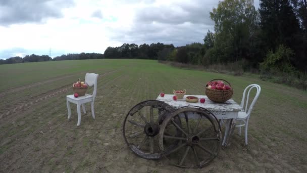 Dvě bílé židle a stůl s jablky v proutěných koších se dvěma starožitné dřevěné koly v jílu půdy oblasti u lesa, v podzimní den, časová prodleva 4k - Záběry, video