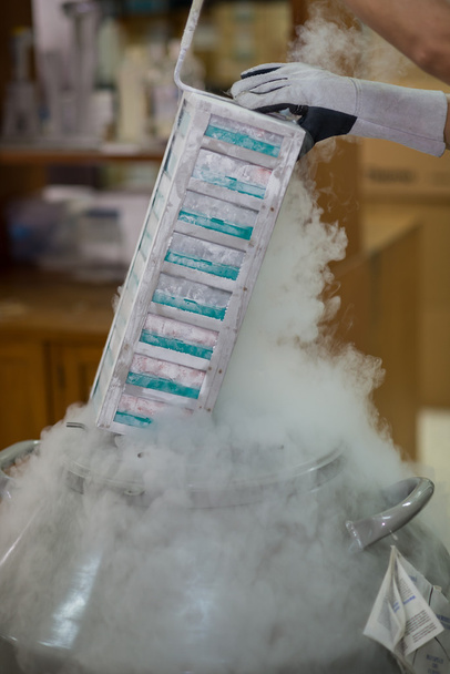 Techniker entfernt Proben aus Tiefkühltruhe - Foto, Bild