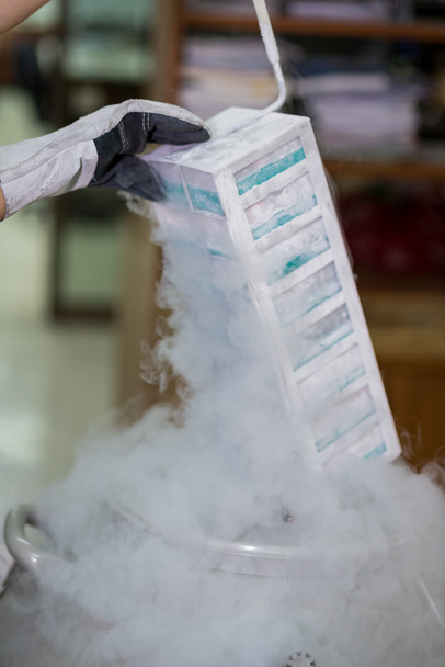 Técnico que remove espécimes do congelador
 - Foto, Imagem
