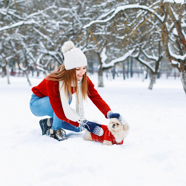 Une fille promenant un chien. Saison d'hiver
 - Photo, image