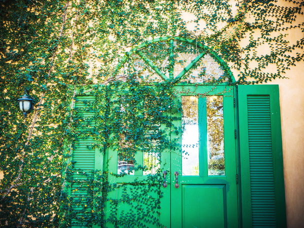 vintage Creeper Plant on a green beautiful door - Photo, Image
