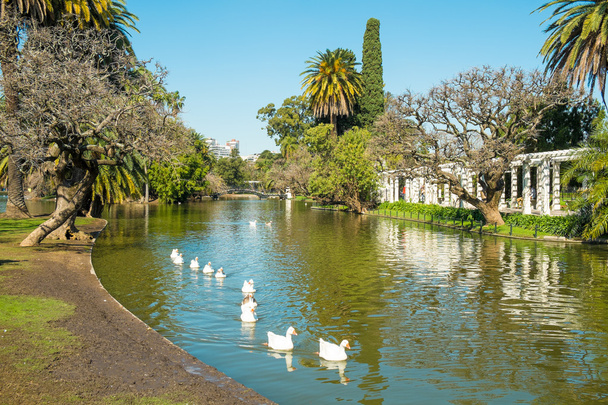 Buenos Aires parks - Zdjęcie, obraz