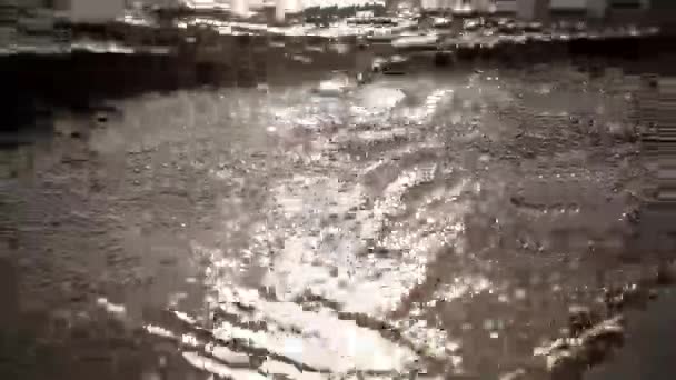 Sea waves gently wash up focus in out. Sparkling sun beams. Summer. Close up. - Footage, Video