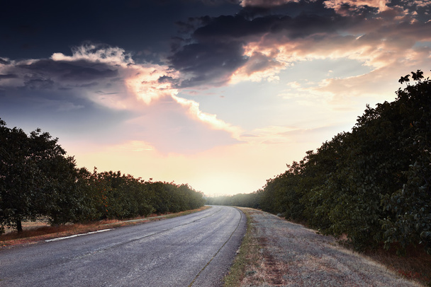 belo pôr do sol na estrada, paisagem de verão
 - Foto, Imagem