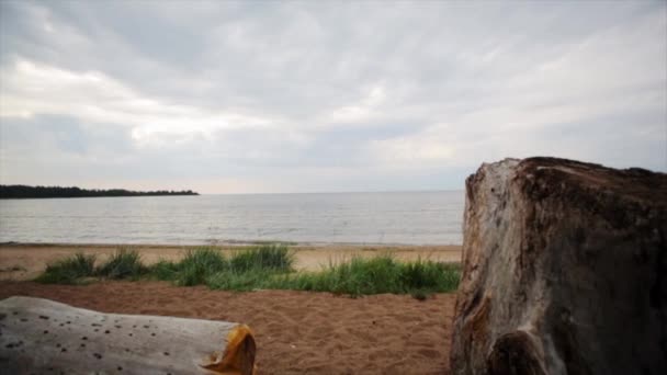 Summer coast landscape. Two ship. Grass, timber, rock. Nobody. Slider - Footage, Video