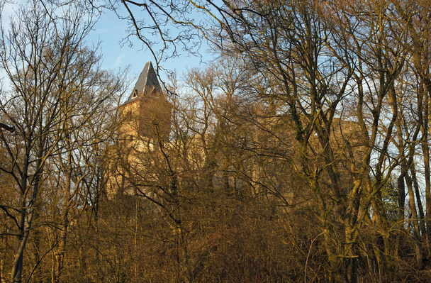 Château ruine Frankenstein
 - Photo, image
