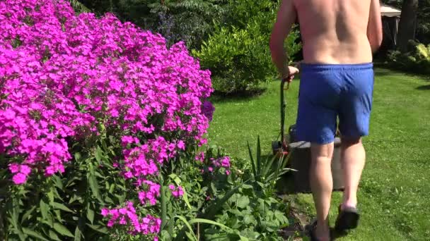 Χοντρός/ή μισός γυμνός αρσενικό στην αυλή πιέζοντας γρασίδι κούρεμα χλοοκοπτικό. 4K - Πλάνα, βίντεο