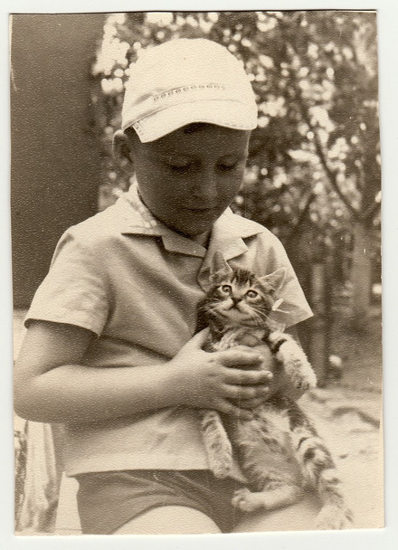 Vintage photo shows boy strokes cat. - Photo, Image