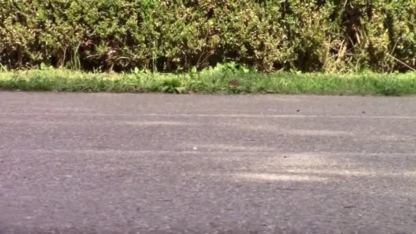 Skate rollers on asphalt - Footage, Video