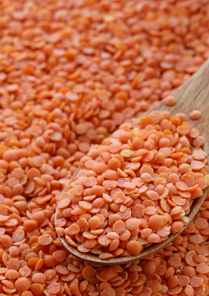 Lentilles rouges bio naturelles pour une alimentation saine
 - Photo, image