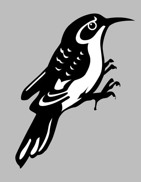 nuthatch silhouette on gray background, vector illustration - Wektor, obraz