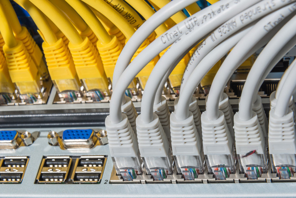 καλώδια δικτύου συνδεδεμένα με διακόπτη - Φωτογραφία, εικόνα