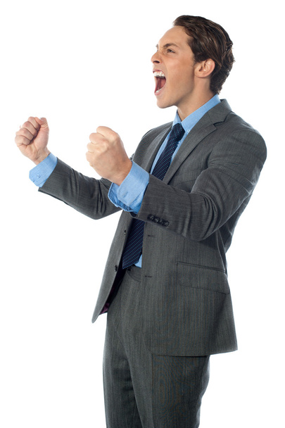 Portrait of an excited businessman - Zdjęcie, obraz