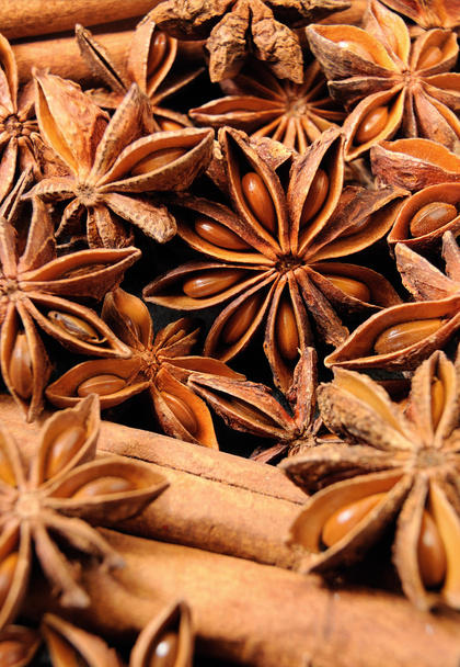 Yıldız anason meyveler ve tohumlar - Fotoğraf, Görsel