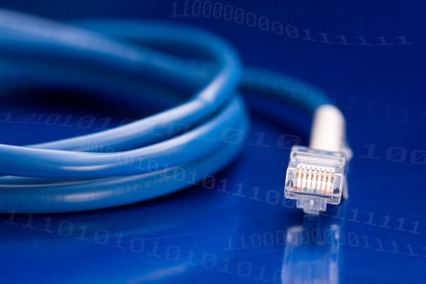 Cable de red informática
 - Foto, Imagen