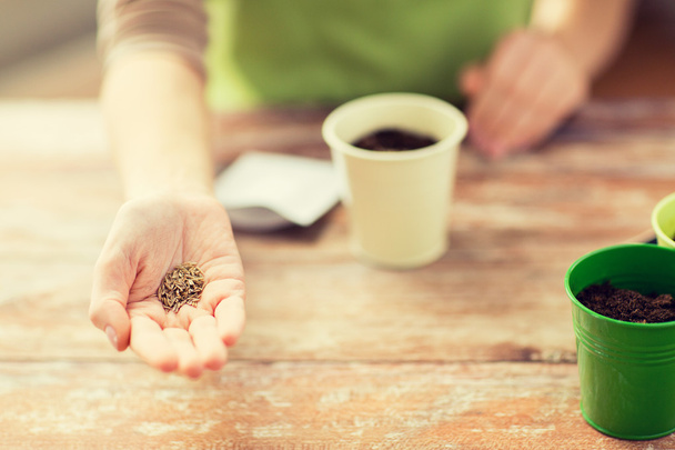 close up of woman hand holding seeds - Foto, imagen