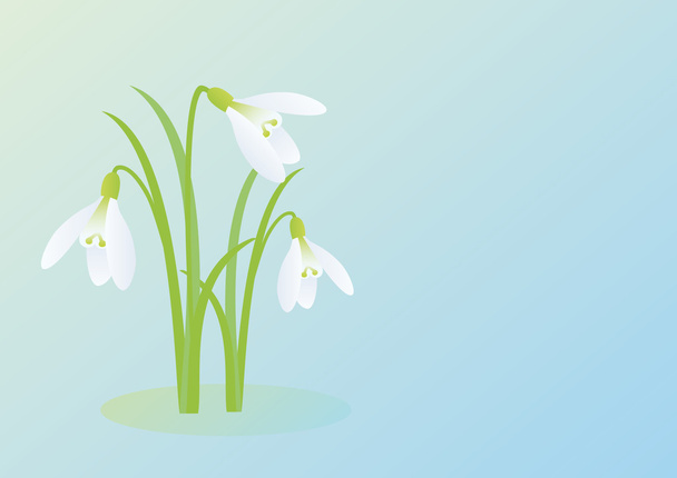 Snowdrops on a blue background - Vector, Image