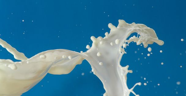 Dairy splash on a blue background - Photo, Image