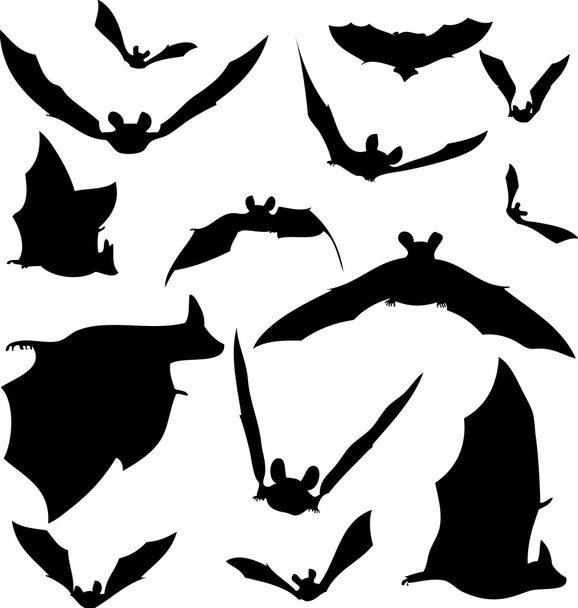 vleermuis silhouetten - Vector, afbeelding