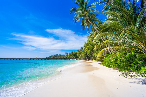 hermosa playa tropical - Foto, imagen