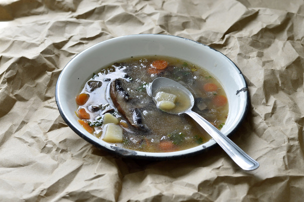 Portobello mushroom soup - Photo, Image