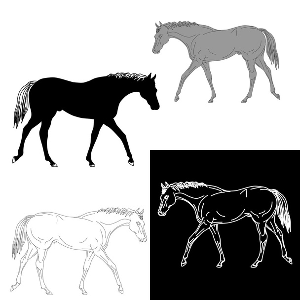 分離した 4 つの馬のシルエットのセット - ベクター画像