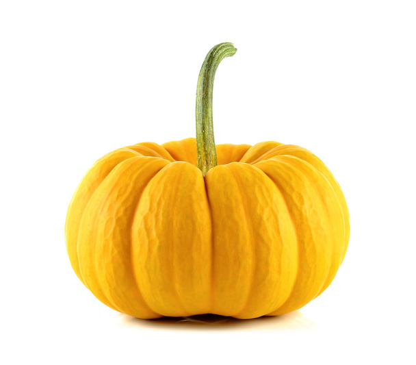 pumpkin isolated on the white background - Photo, Image