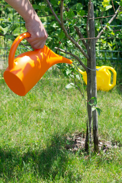 Bidón naranja para plantas
 - Foto, Imagen