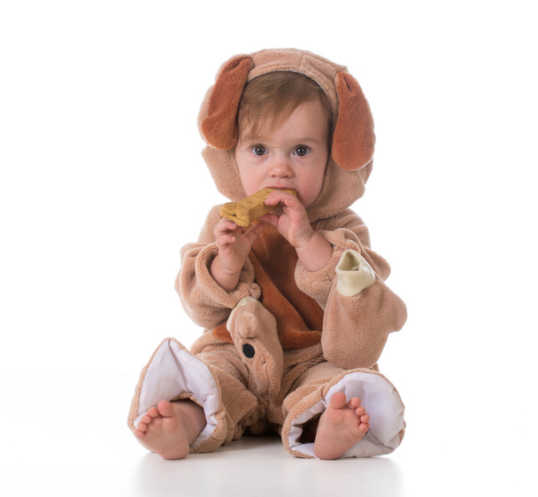 little girl dressed like a puppy - Valokuva, kuva