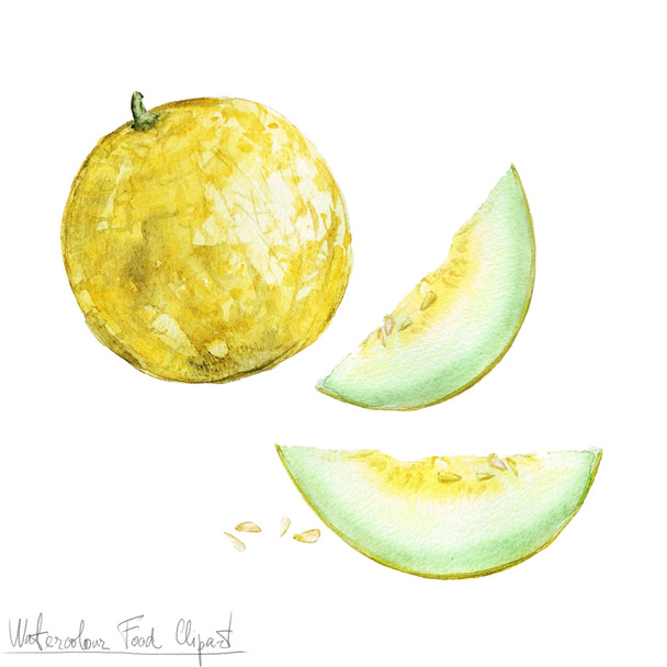 Akvarel potravin kliparty - meloun - Fotografie, Obrázek