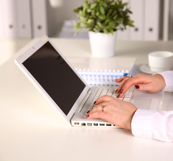 Jeune femme d'affaires travaillant sur un ordinateur portable
 - Photo, image