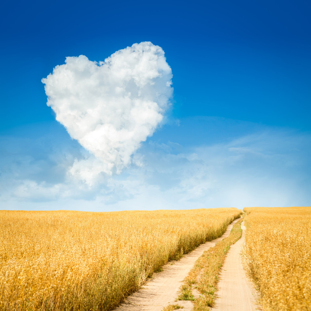 Heart Shaped Cloud and Yellow Field Landscape - Photo, Image