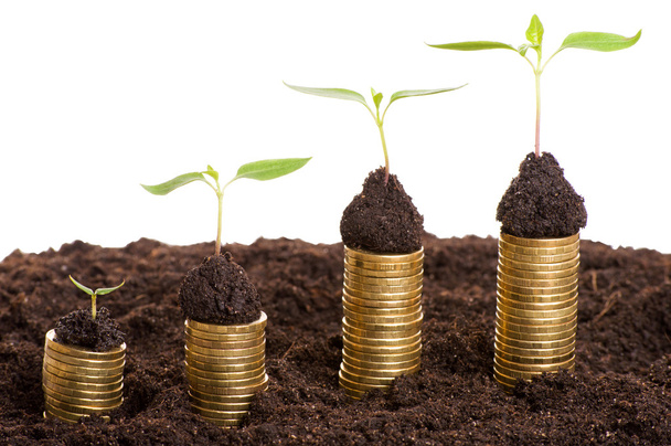 Golden coins in soil with young plant. Money growth concept. - Fotografie, Obrázek