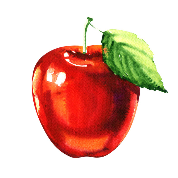 Frutto di mela rossa con foglia isolata su fondo bianco
 - Foto, immagini
