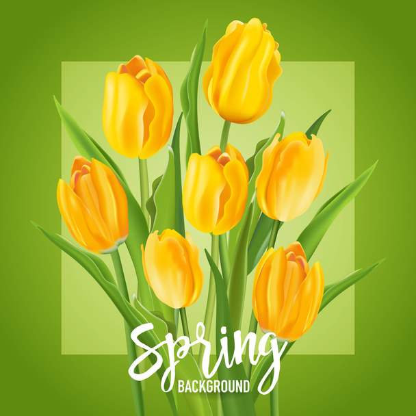 Spring Flower Background - with Tulips - in vector - Vetor, Imagem