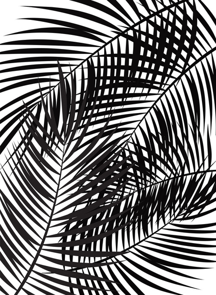 Palm Leaf Vector Background Illustration - Vektor, obrázek