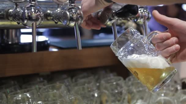 Μπάρμαν ρίχνει βαρελίσια μπύρα στο μπαρ - Πλάνα, βίντεο