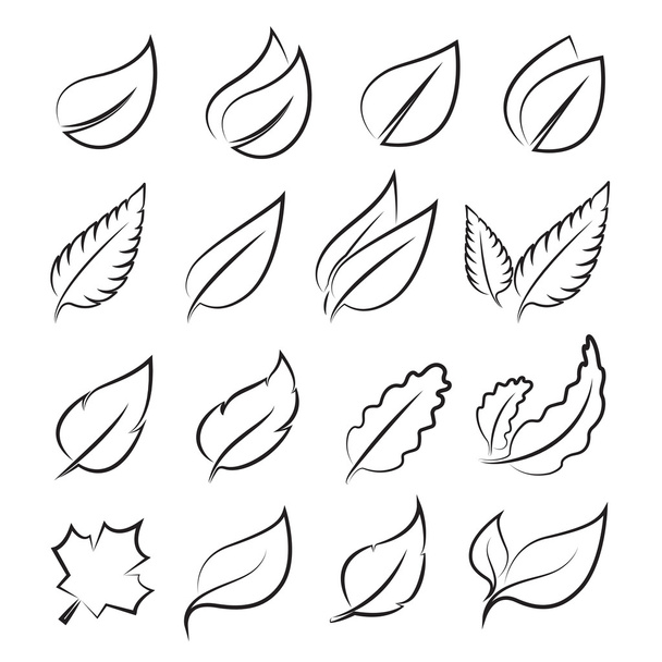 Vector leaves icon set on white background - Vector, Image