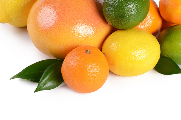 Allsorts from a citrus isolated on white - Φωτογραφία, εικόνα