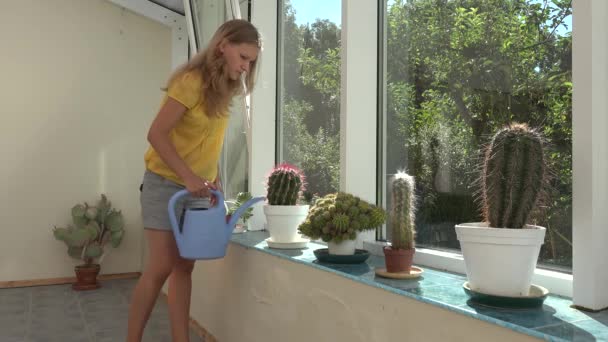Pflegerin gießt Kakteen im Wintergarten im Sommer. 4k - Filmmaterial, Video