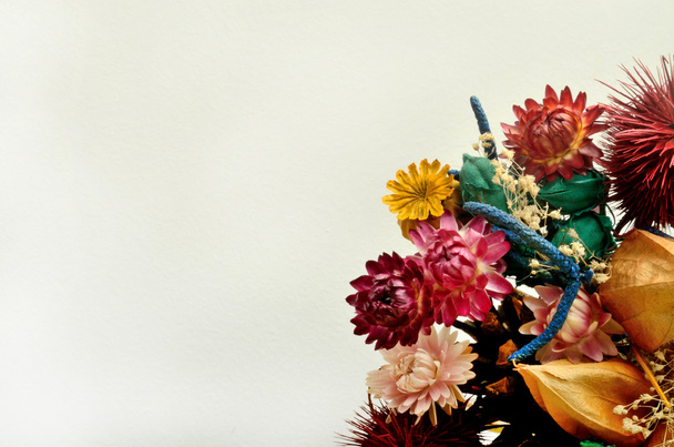 Αποξηραμένα λουλούδια σε κενό φόντο - Φωτογραφία, εικόνα